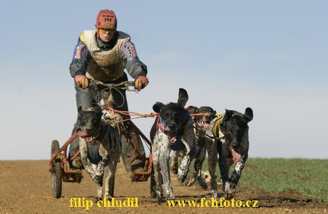 Bakonybel - 0601.JPG